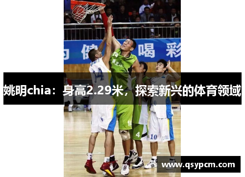 姚明chia：身高2.29米，探索新兴的体育领域