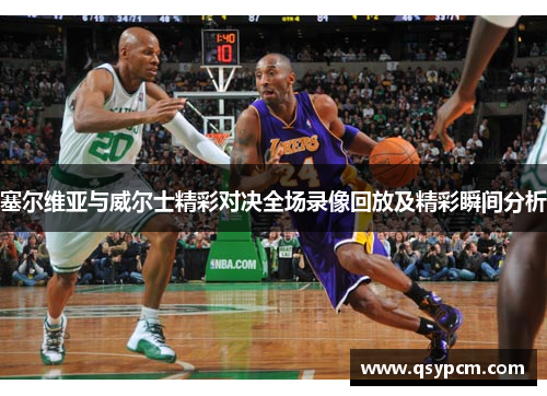 塞尔维亚与威尔士精彩对决全场录像回放及精彩瞬间分析